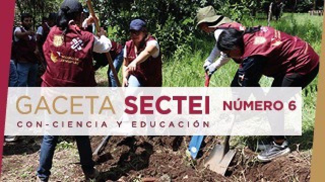 Informe Anual de Actividades 2023-2024