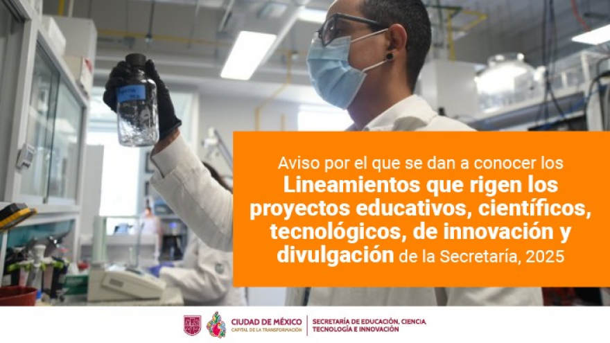 Lineamientos proyectos educativos y CTI