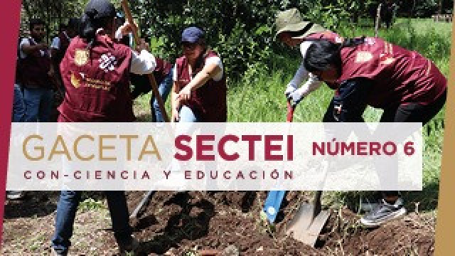 Informe Anual de Actividades 2023-2024