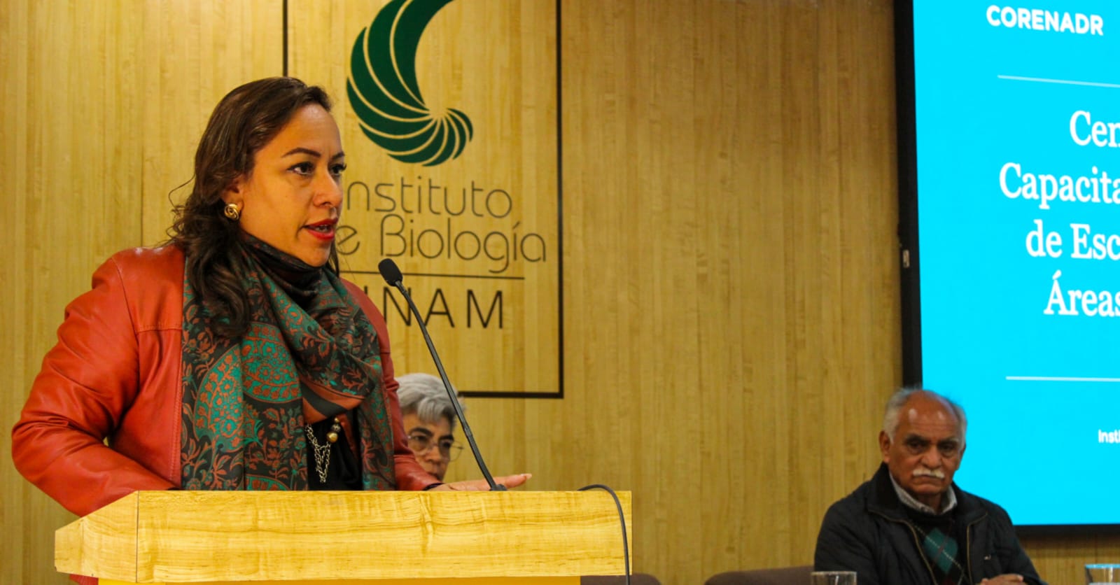 Proyecto escarabajos descortezadores 2.jpg