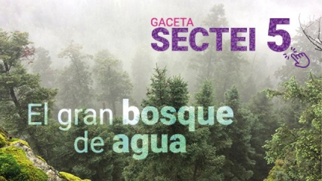 Gaceta SECTEI "Nueva Época" Número 5