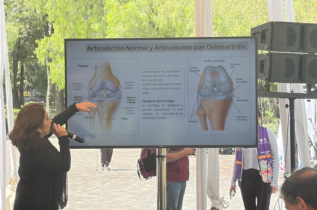 Zócalo de las Ciencias (septiembre) 3.jpg