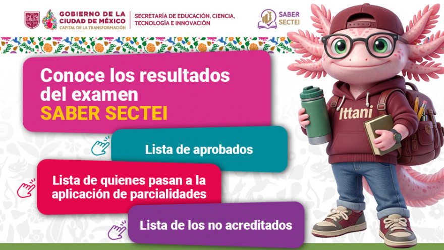 SABER-SECTEI  Resultados del examen